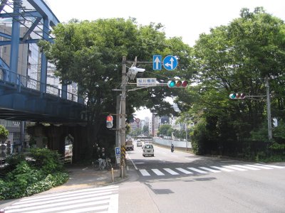 싴ōV